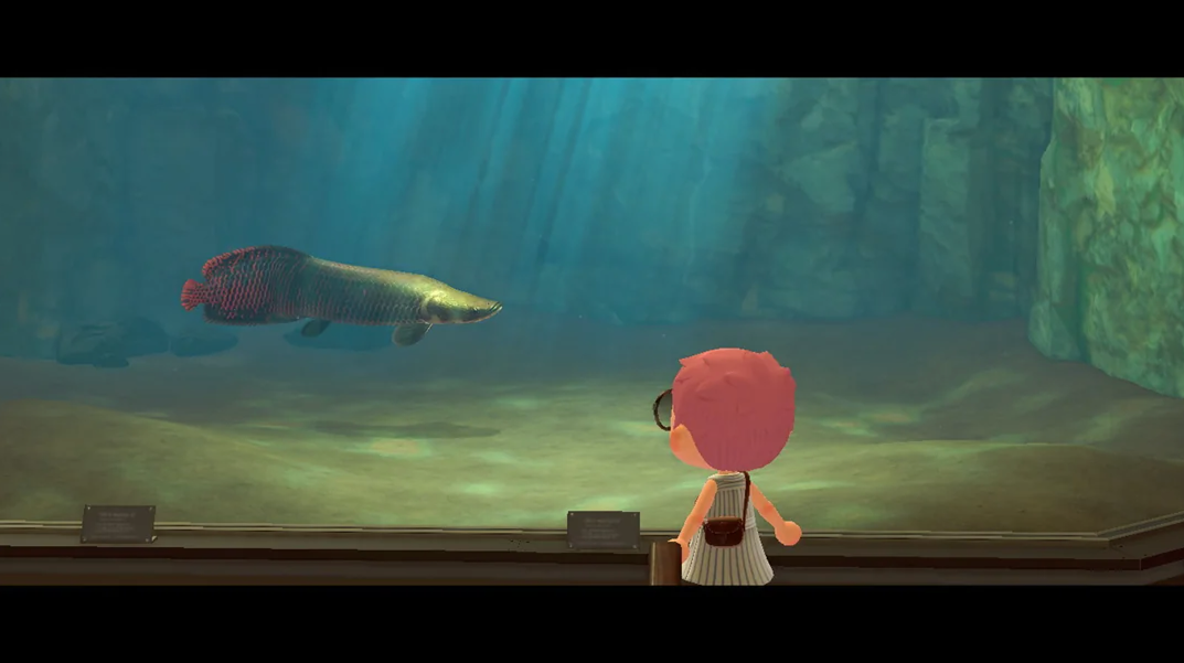 Aquarium exhibit with a large fish