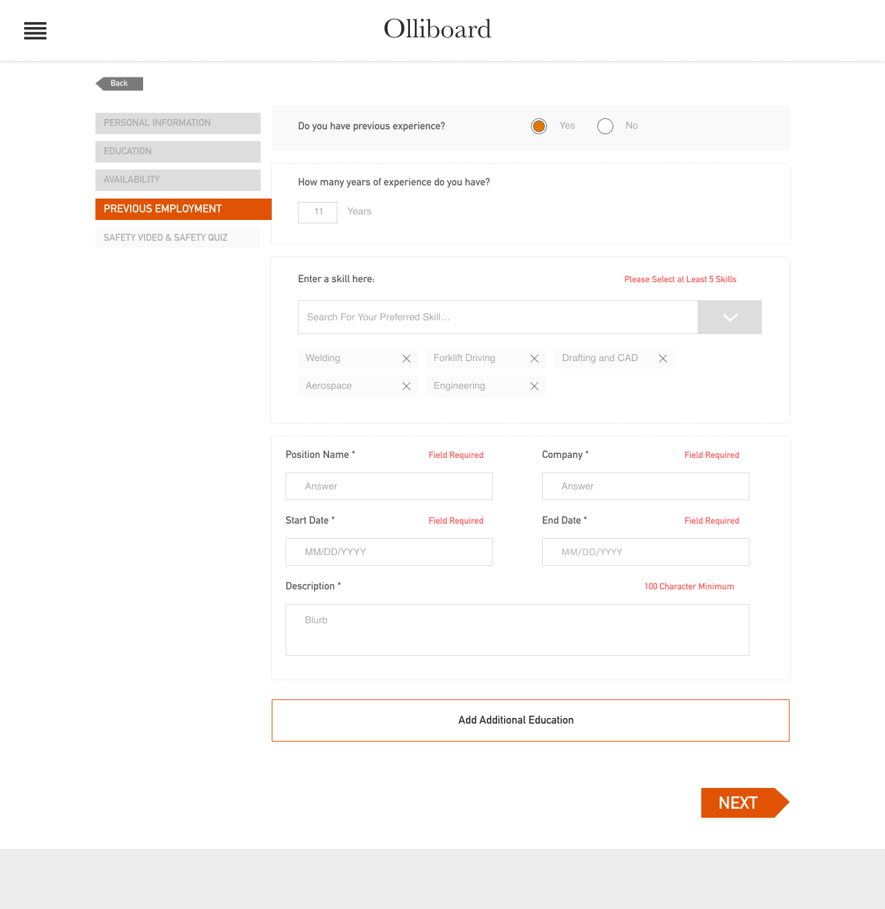 Previous experience form filled in with skills and job details